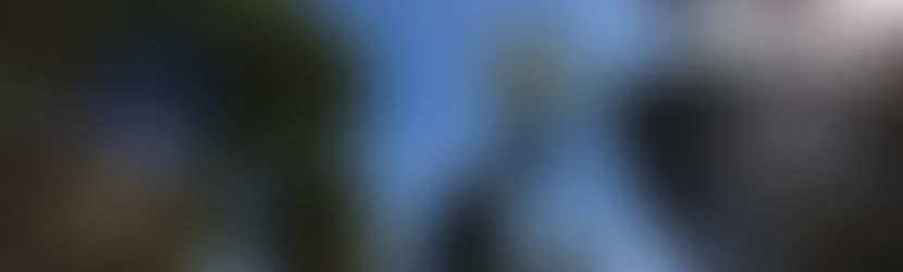 Daniel 7:1-28 • Daniel's Dream and Visions of Four Beasts