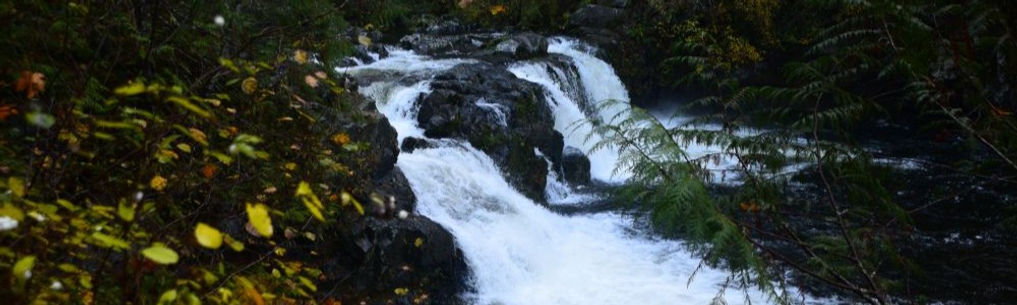 2025-10-29b - 01 - small.JPG