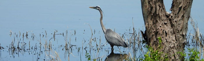 2026-04-06a - 01 - small.JPG