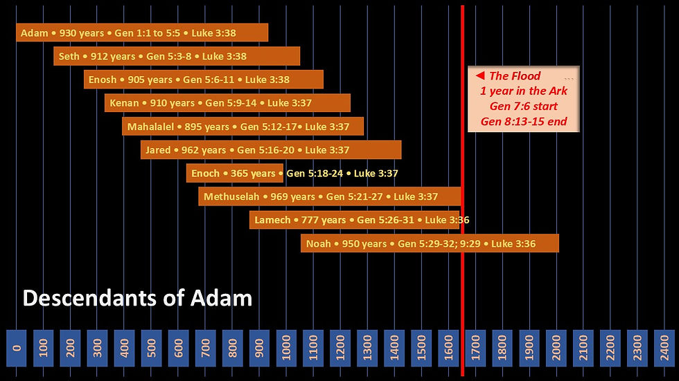 Click on the pic to see a larger copy