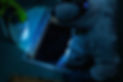 010a3597.jpeg