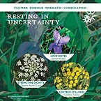 Resting in Uncertainy 260102 SQUARE ETSY combos36.jpg