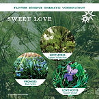 Sweet Love 260102 SQUARE ETSY combos15.jpg