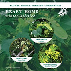 Heart Home 260102 SQUARE ETSY combos.jpg