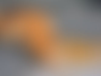 My Cat Is a Fussy Eater. What Do I Do?