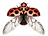 MARIENK%C3%84FER_FLUGEL_edited.png