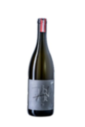 Ried Steinberg, Kamptal DAC, Bio, Grüner Veltliner 2021
