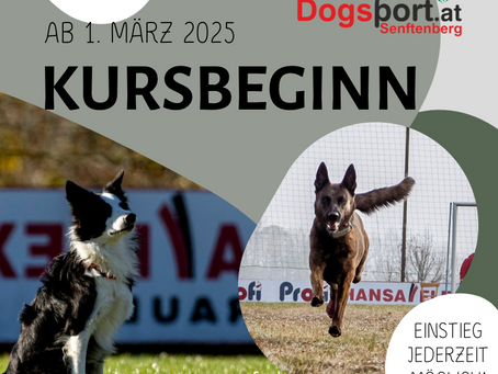 1. März = Kursbeginn!