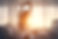 AdobeStock_391181239.jpeg