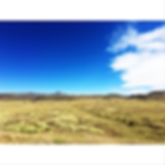 LIVICHUCO-PAISAJE (1).PNG