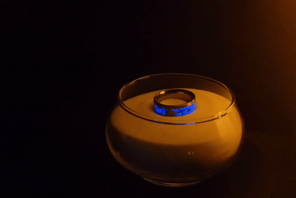 [0158g] Rosa's Seashell Ring