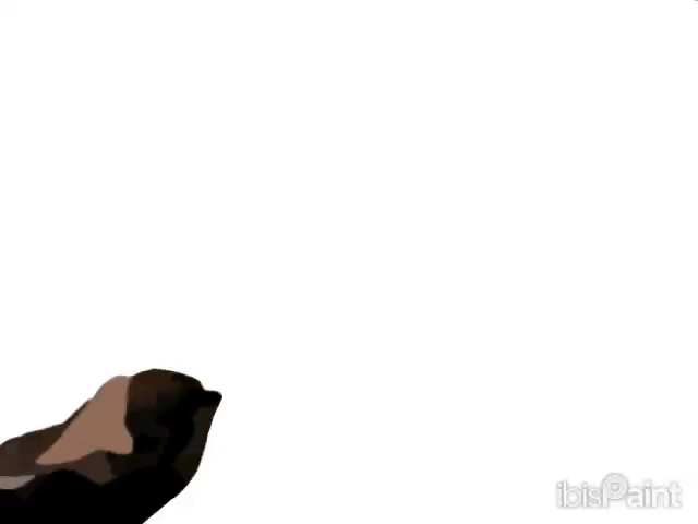 [022] Silly Little Otter Animation