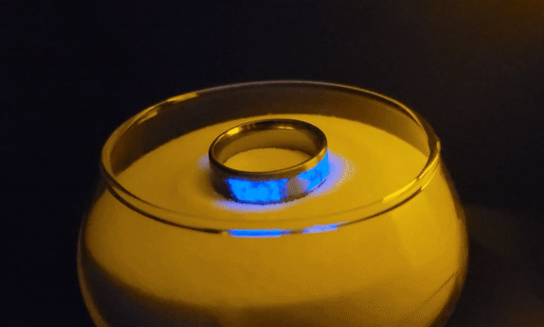 [0158f] Rosa's Seashell Ring