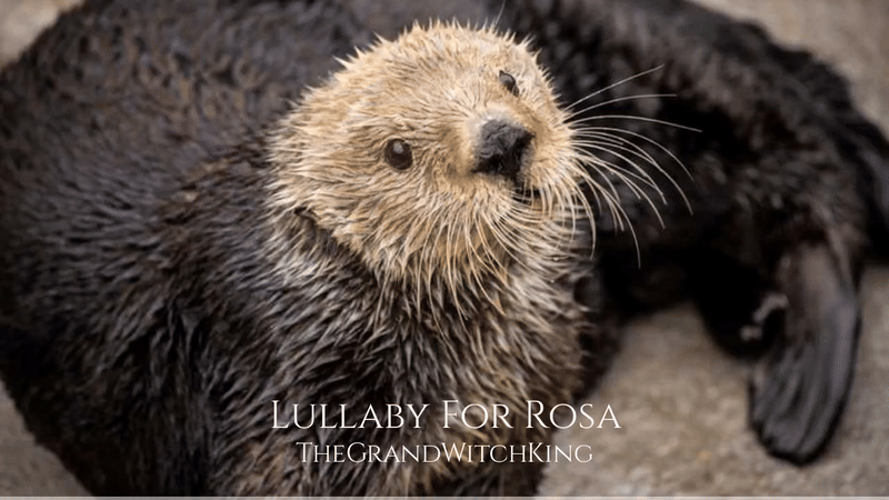 [0205|🎵] Lullaby For Rosa