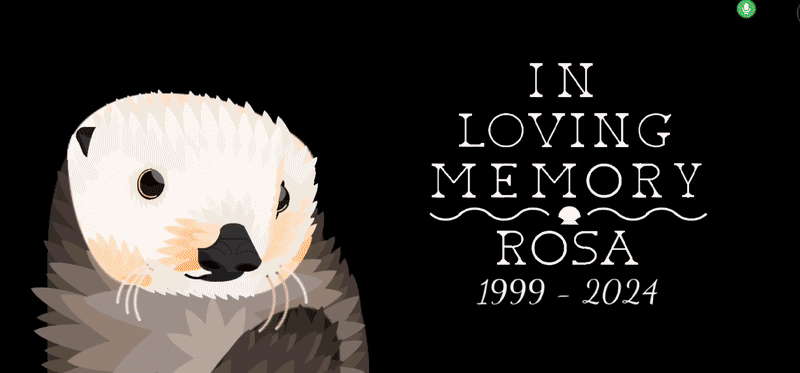 [0409a|📹] Rosa Swims into Twitch chats heart