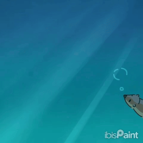 [148|🎞️] Swimming Otter