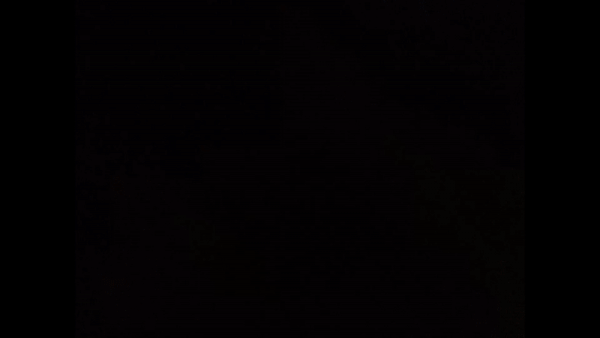 [208|📹] Otterly Magical