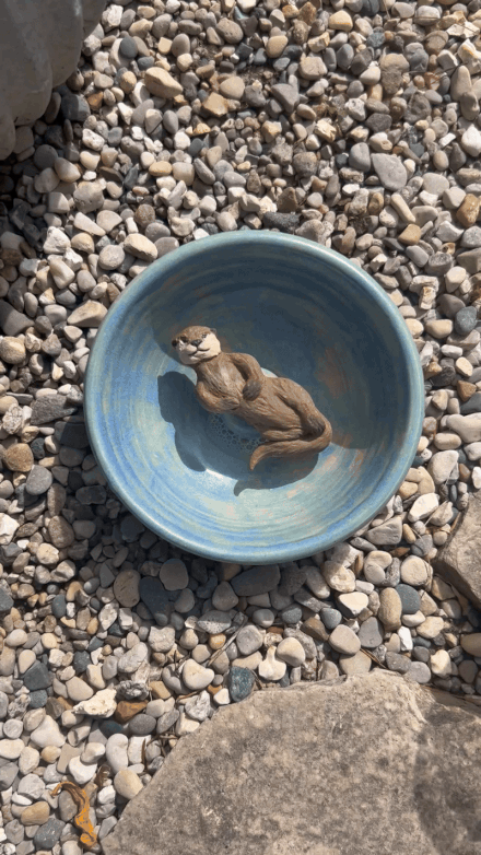 [336a|📹] Bathing Otter