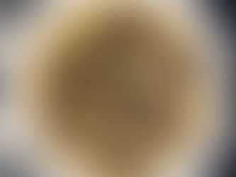 Beef stroganoff soup