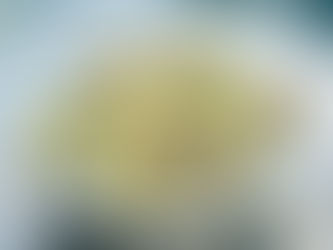 Roasted Potato Pesto Salad