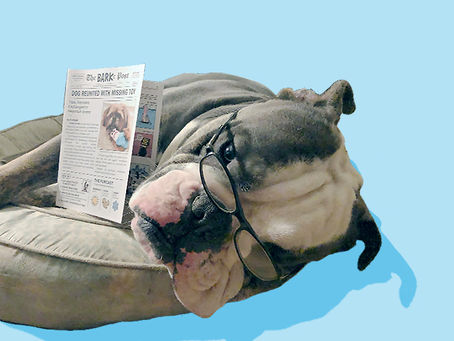 The best day of the month