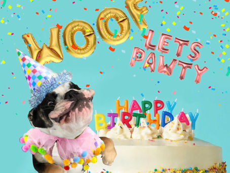 Happy Birthday Lola!