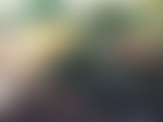 Pups on the Road Again