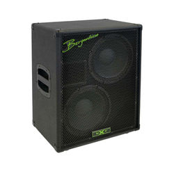 Bergantino NXT 210