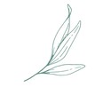 Leslie (3).png