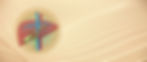 BG-final-gallbladder-2.jpg