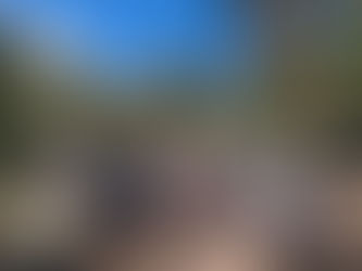 Our Psychedelic Retreats