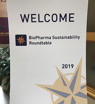 BSRT_2019_Day 1_21.jpeg