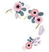 CharmedeColor_image