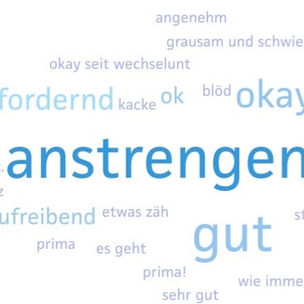 Umfrage zum Distanzunterricht