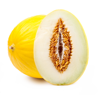 canary_melon.png