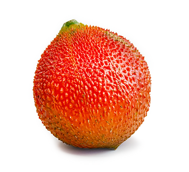gac_fruit_wholesale_toronto.png