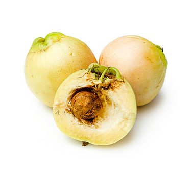 ly_fruit_toronto.png