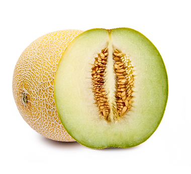 Galia_melon.png
