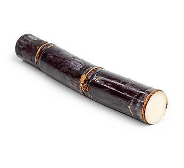 sugar_cane_toronto.png