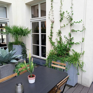 Entretien terrasse entreprise privée par Idéovert