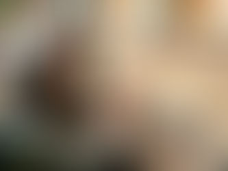 社内研修レポート（前半）