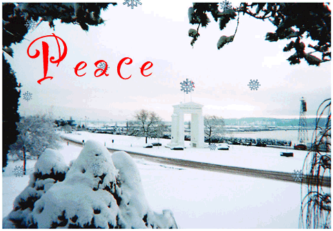 anim_peace-arch-snow.gif