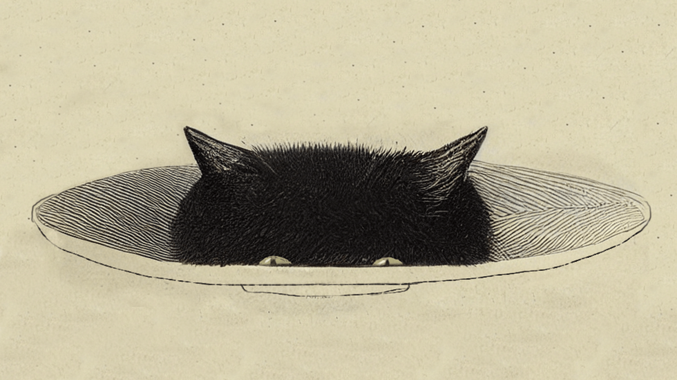 Whiskers