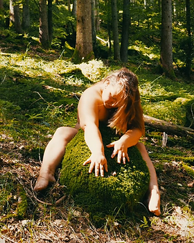 Screenshot (303).png