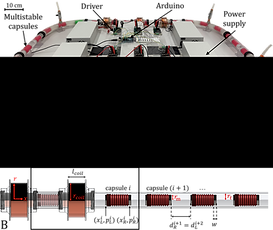 Fig2 vr23 for wix site.png