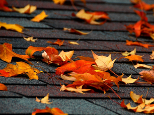 4 Signs You May Need a New Roof this Fall