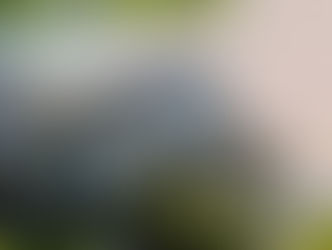 A classic, light yellow, custom New England-style home with white trim sits on a sun-lit lakefront hillside in NH.