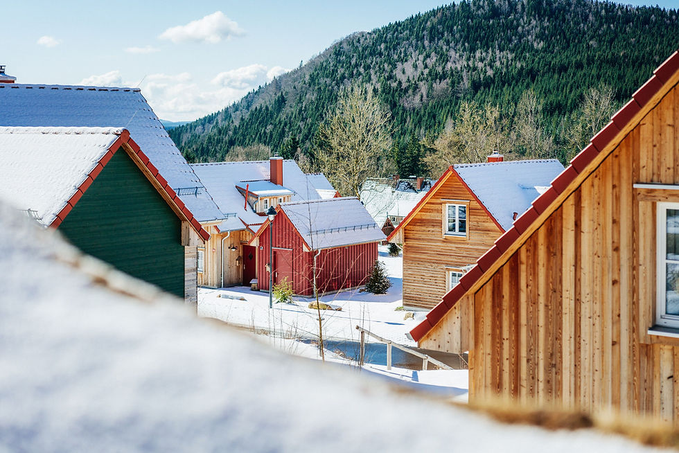 Der Winter hält Einzug im Harz