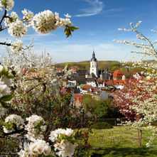Meerane