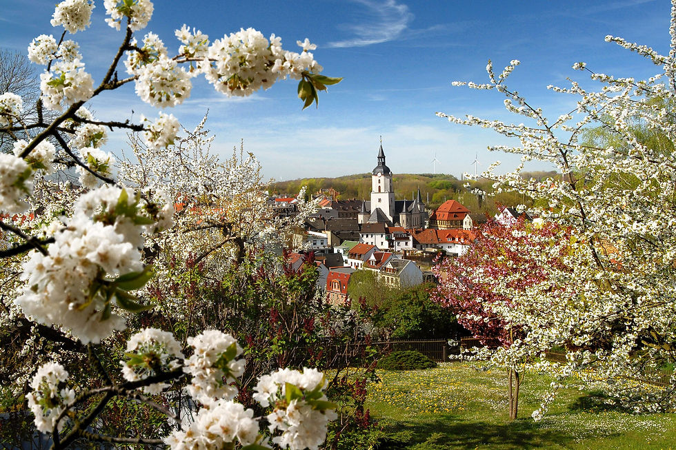 Meerane